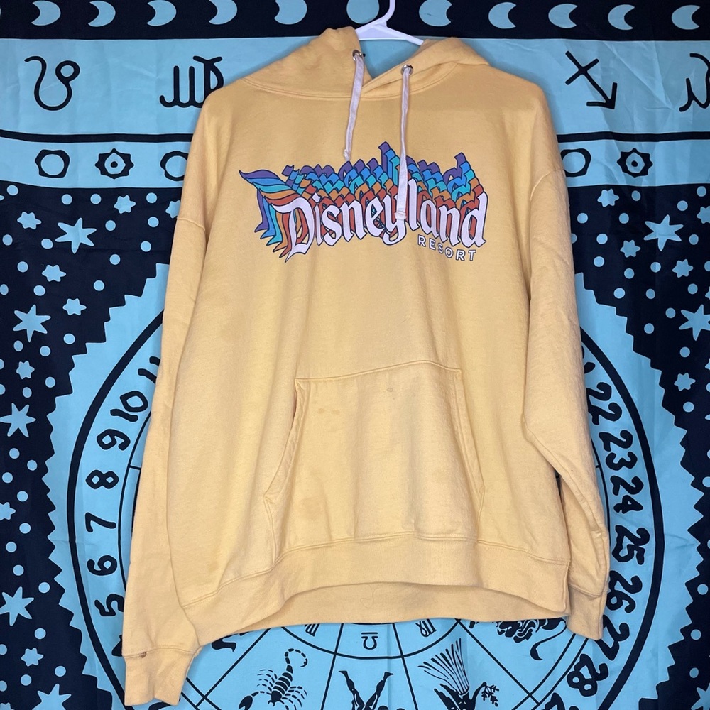 Disneyland Resort hoodie
